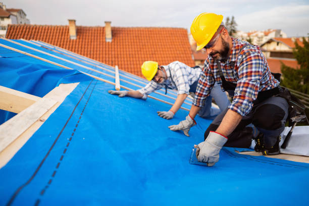 Best Roof Moss and Algae Removal  in Sparta, GA